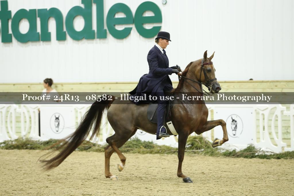 Proof Number 24R13_08582