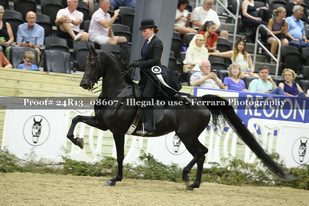 Proof Number 24R13_08607