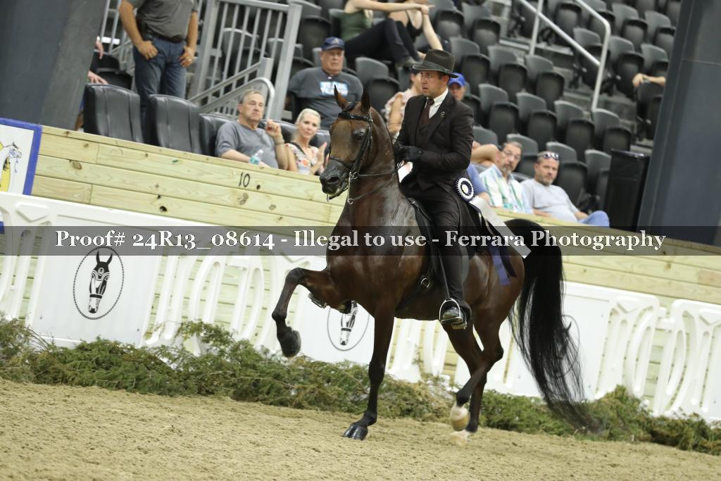 Proof Number 24R13_08614
