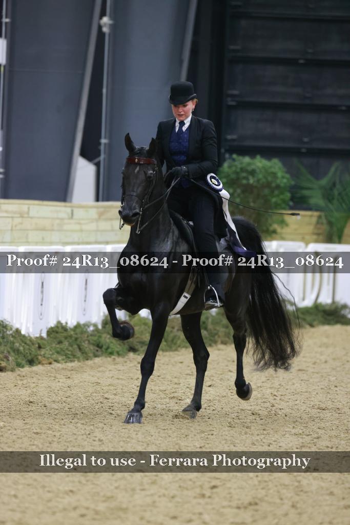 Proof Number 24R13_08624