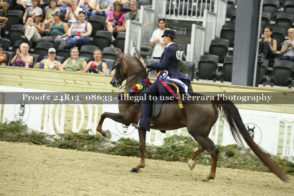 Proof Number 24R13_08633