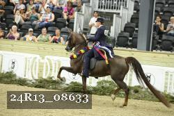 24R13_08633 thumbnail