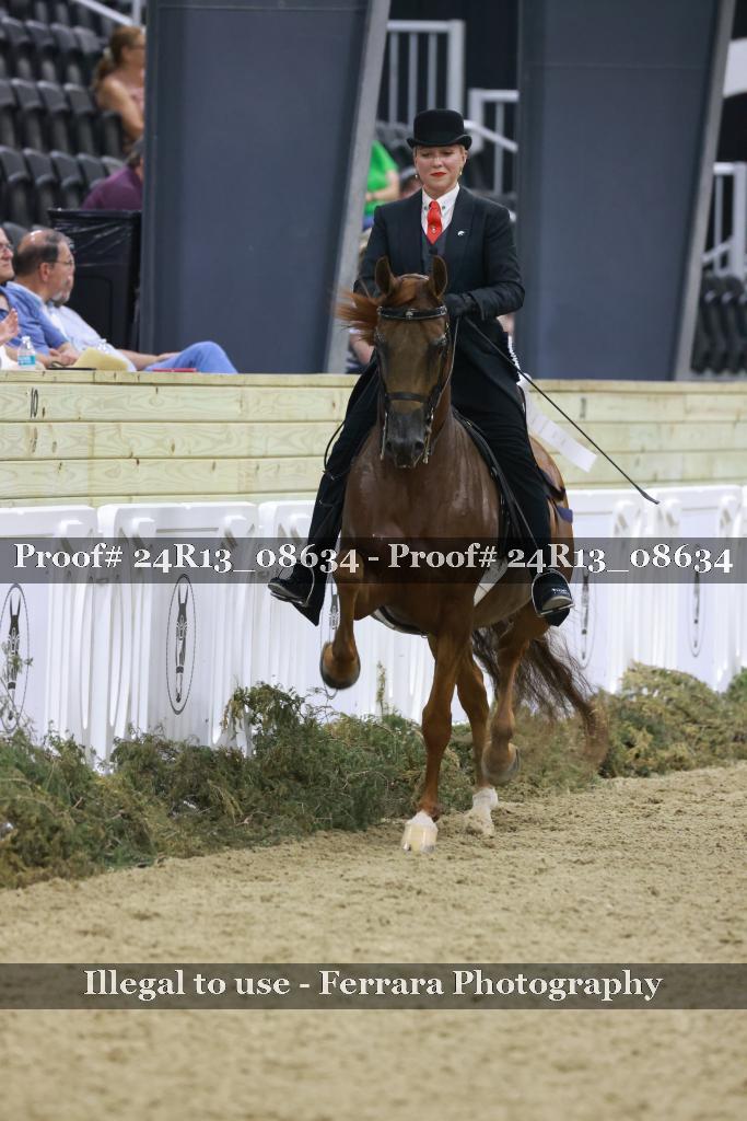 Proof Number 24R13_08634