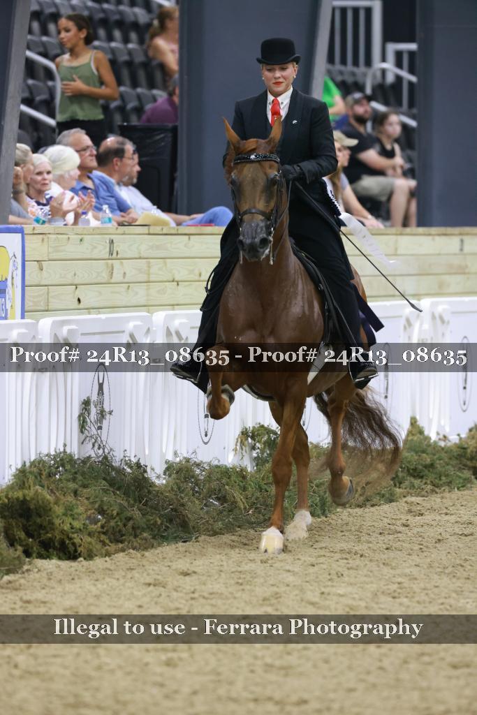 Proof Number 24R13_08635