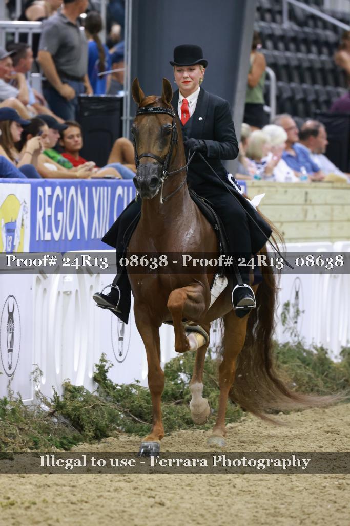 Proof Number 24R13_08638