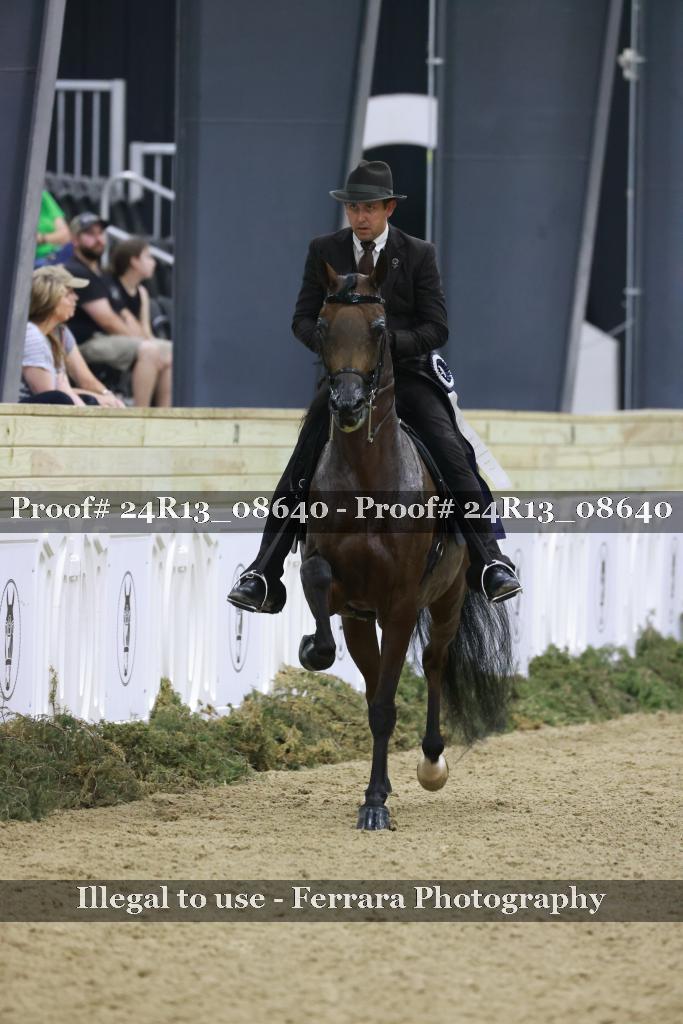 Proof Number 24R13_08640