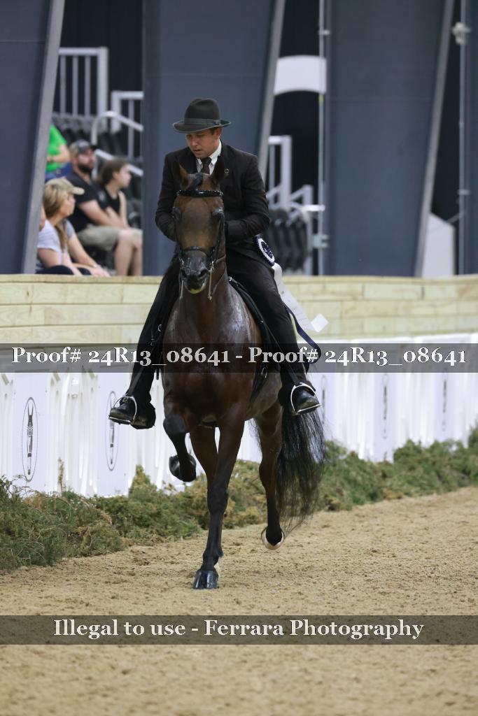 Proof Number 24R13_08641