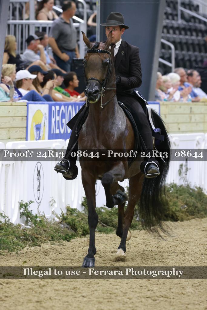 Proof Number 24R13_08644