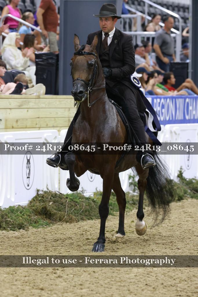 Proof Number 24R13_08645