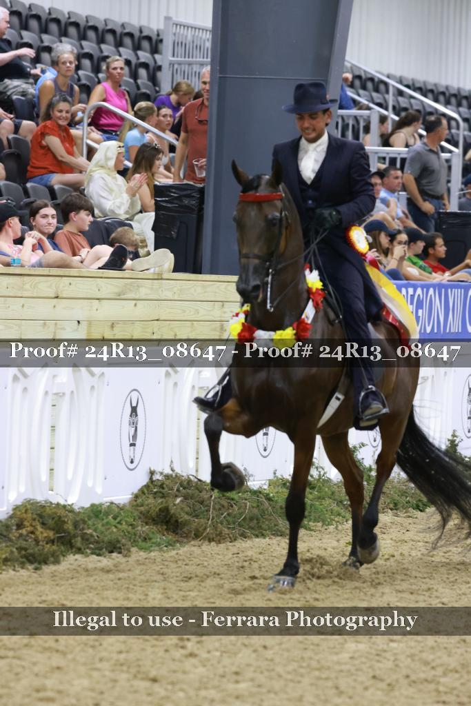 Proof Number 24R13_08647
