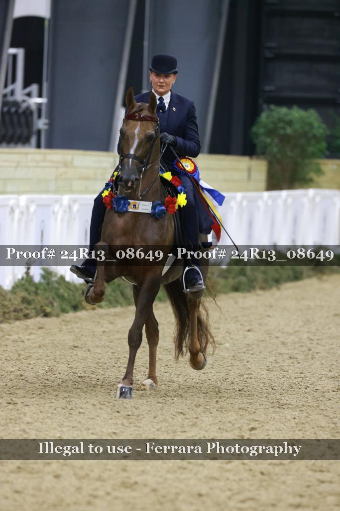 Proof Number 24R13_08649