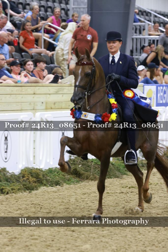 Proof Number 24R13_08651