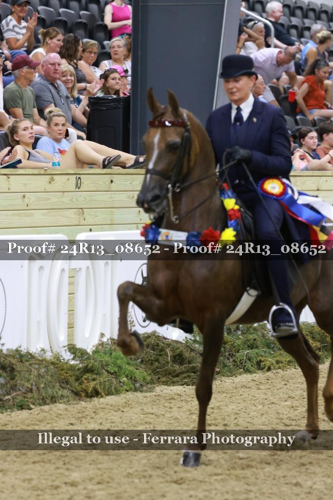 Proof Number 24R13_08652