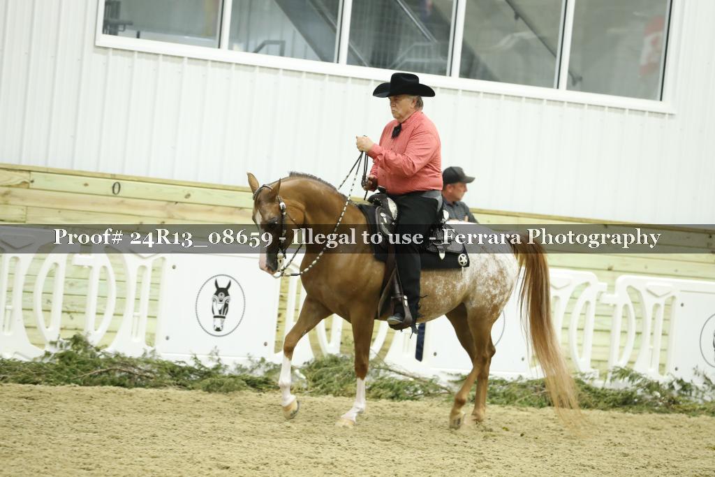 Proof Number 24R13_08659