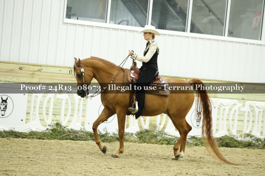 Proof Number 24R13_08673