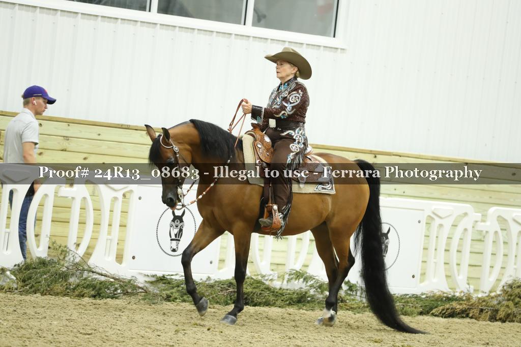 Proof Number 24R13_08683