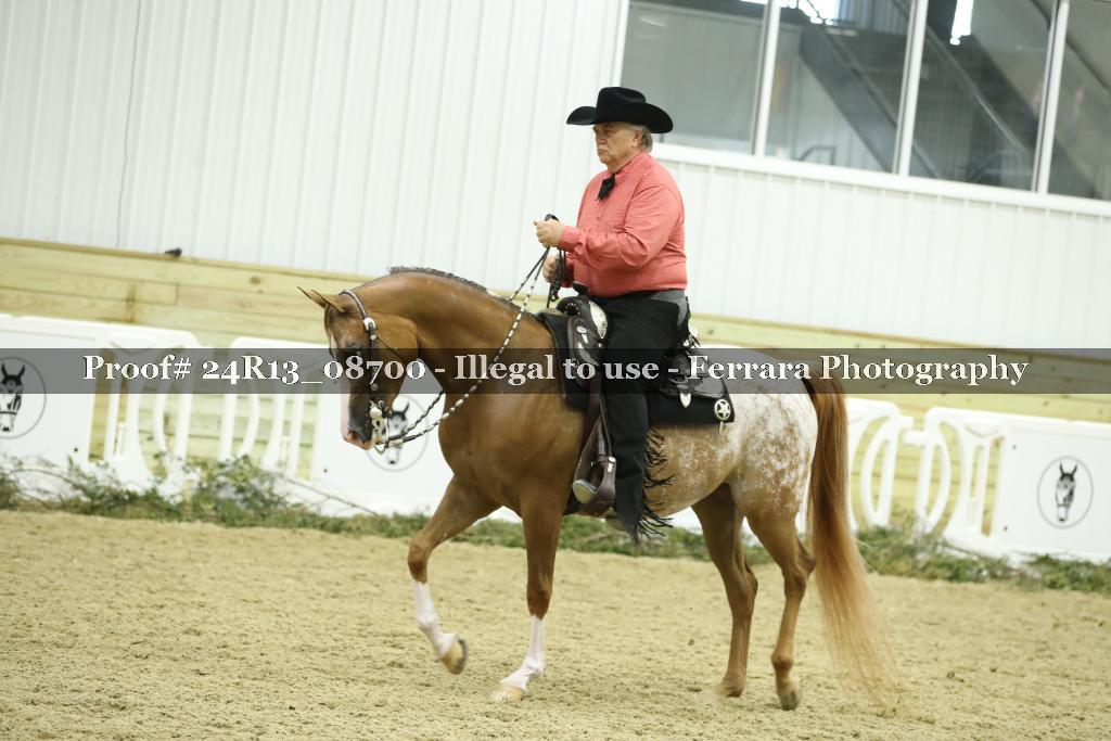 Proof Number 24R13_08700