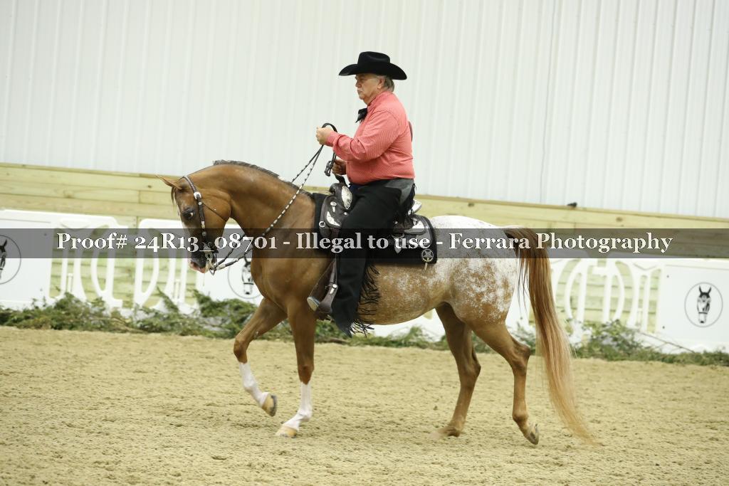 Proof Number 24R13_08701