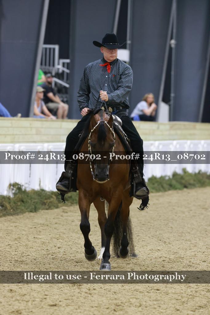 Proof Number 24R13_08702