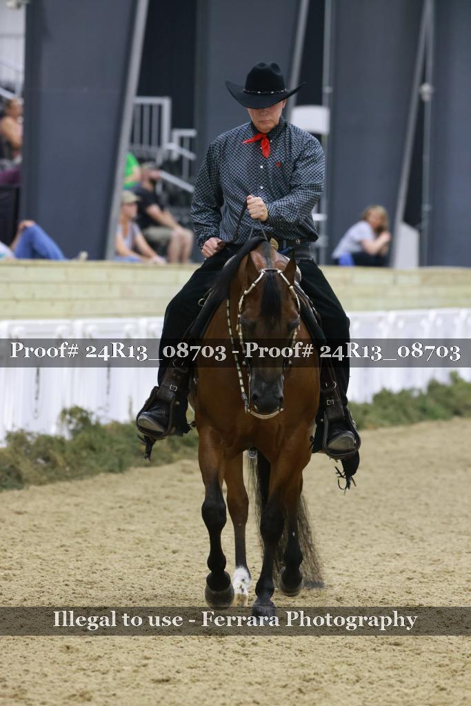 Proof Number 24R13_08703