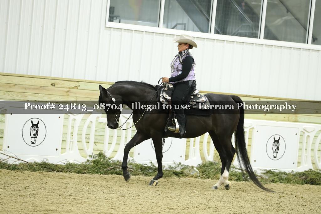 Proof Number 24R13_08704