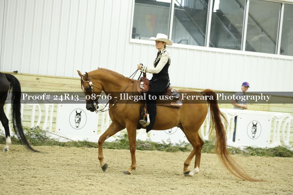 Proof Number 24R13_08706