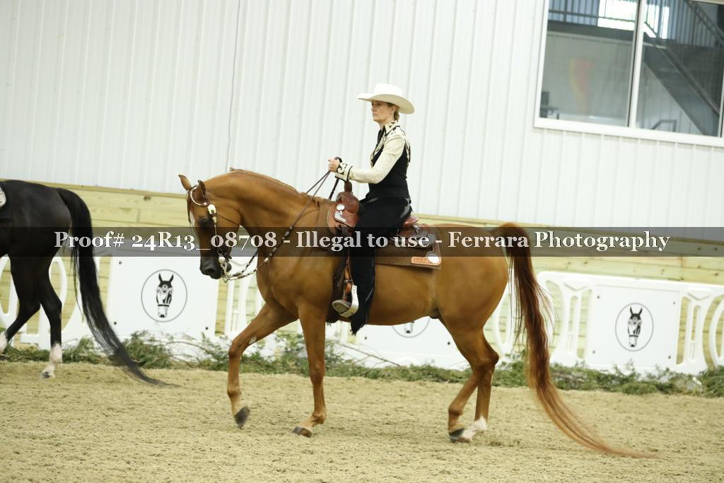 Proof Number 24R13_08708