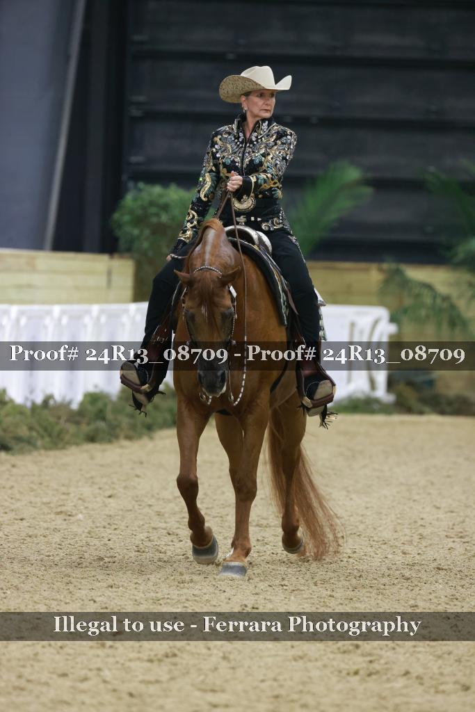 Proof Number 24R13_08709
