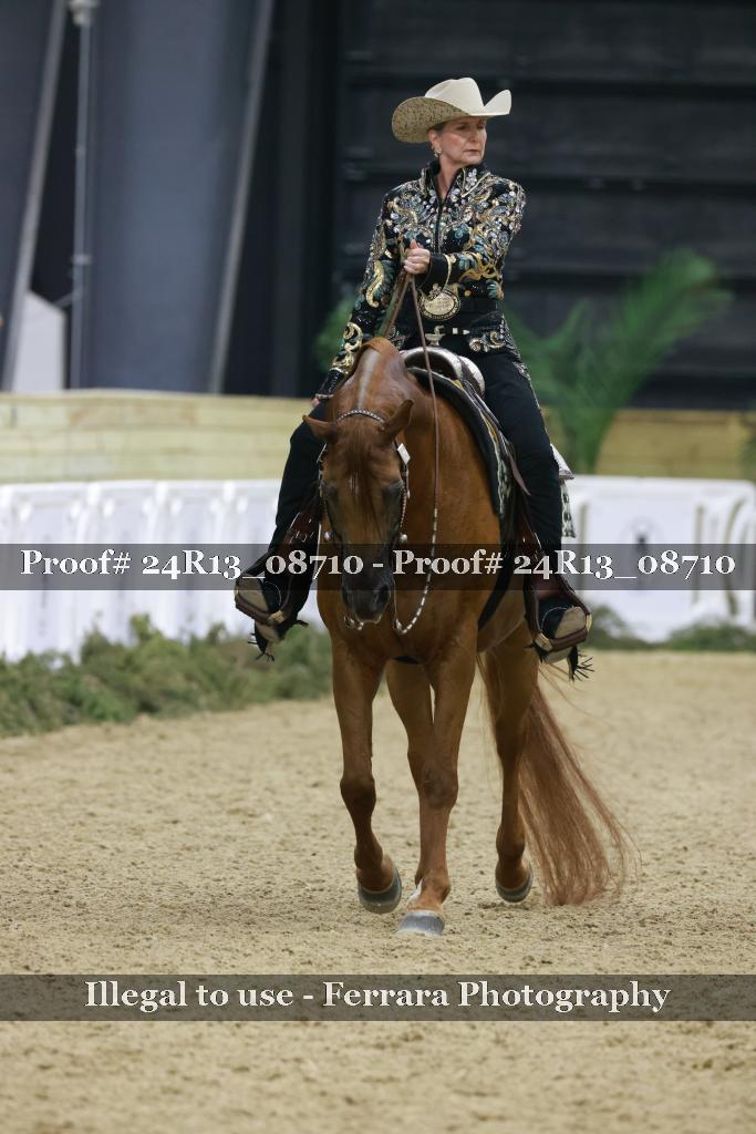Proof Number 24R13_08710
