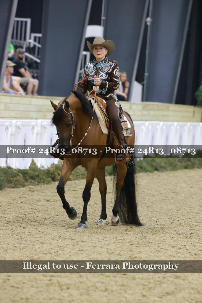 Proof Number 24R13_08713