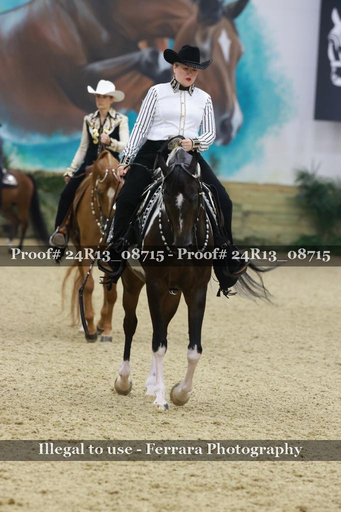 Proof Number 24R13_08715