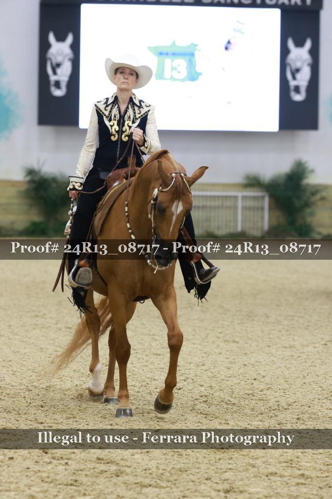 Proof Number 24R13_08717