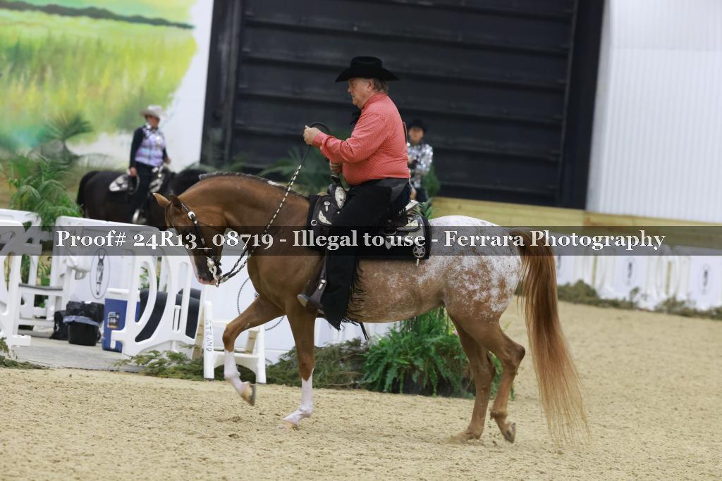 Proof Number 24R13_08719