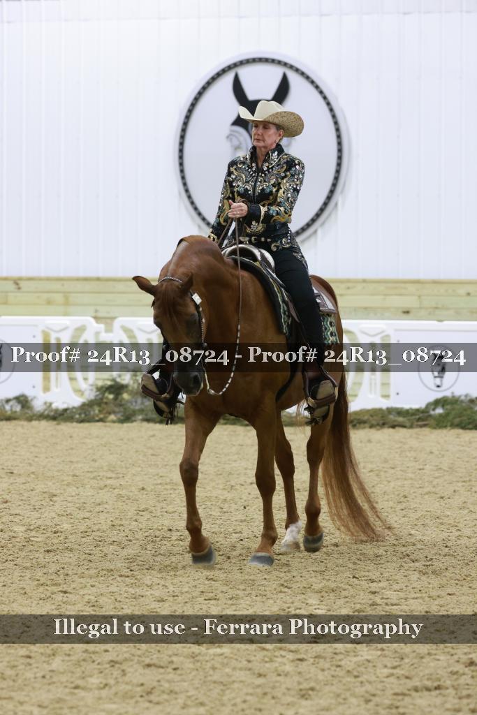 Proof Number 24R13_08724