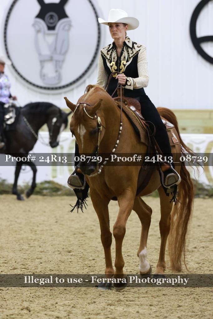 Proof Number 24R13_08729
