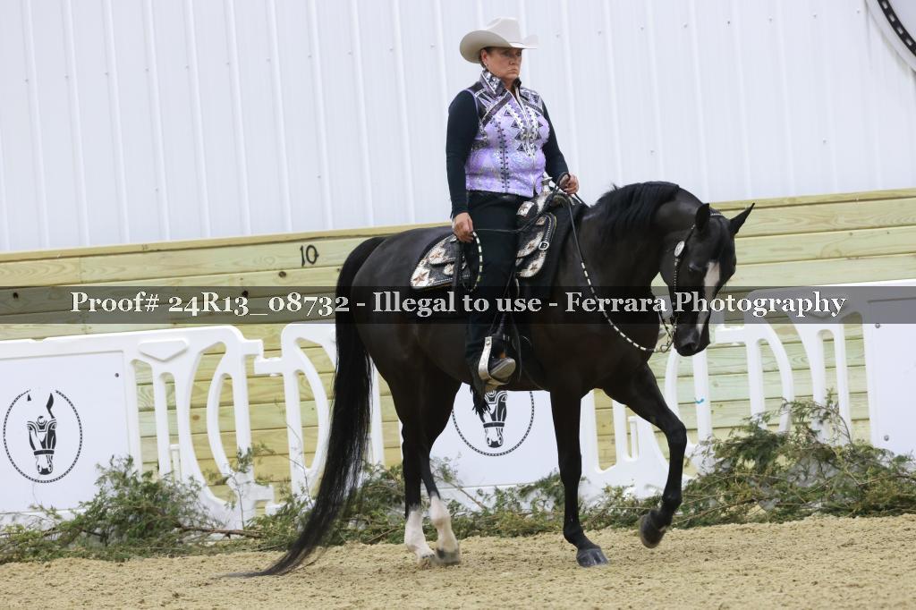 Proof Number 24R13_08732