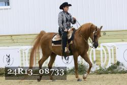 24R13_08733 thumbnail