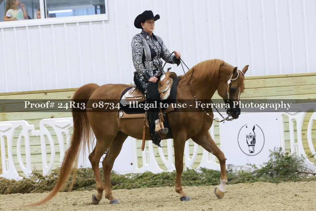 Proof Number 24R13_08734