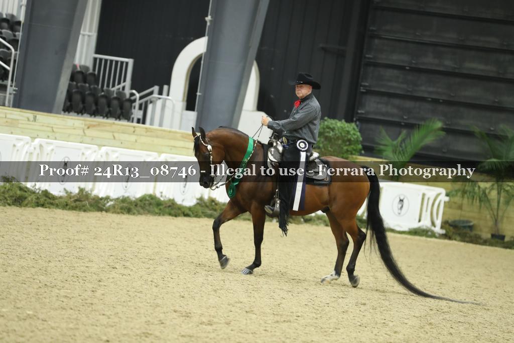 Proof Number 24R13_08746