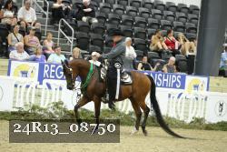 24R13_08750 thumbnail