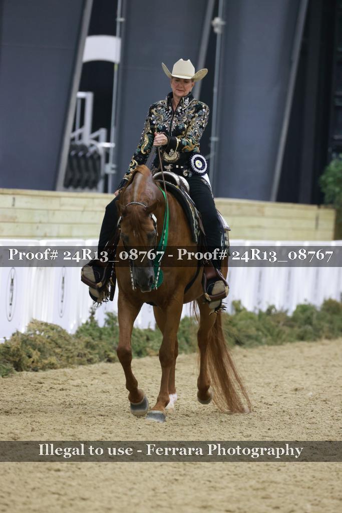 Proof Number 24R13_08767