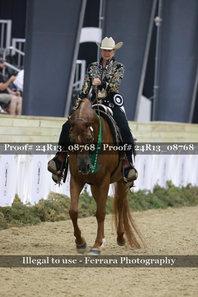 Proof Number 24R13_08768