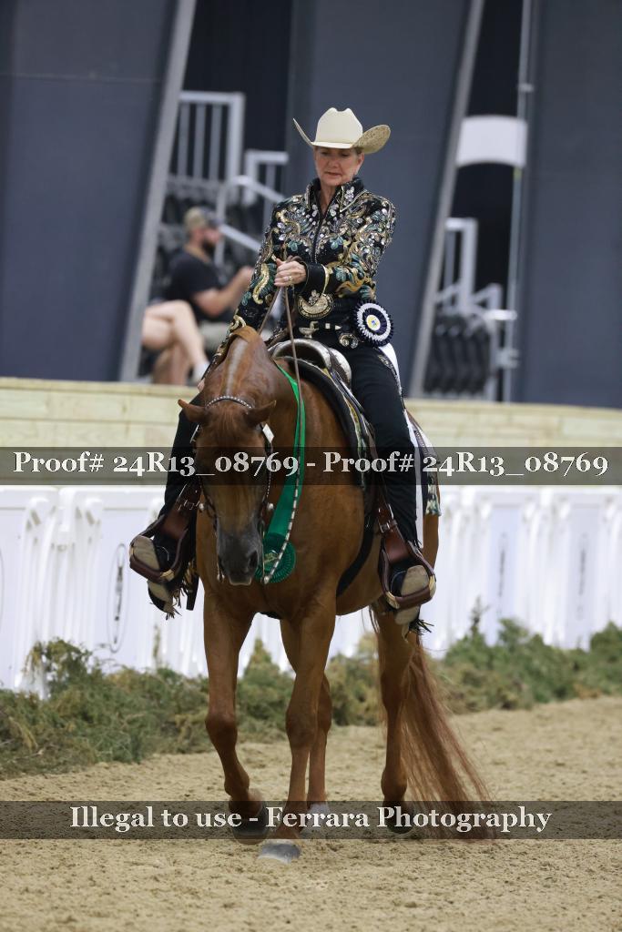 Proof Number 24R13_08769