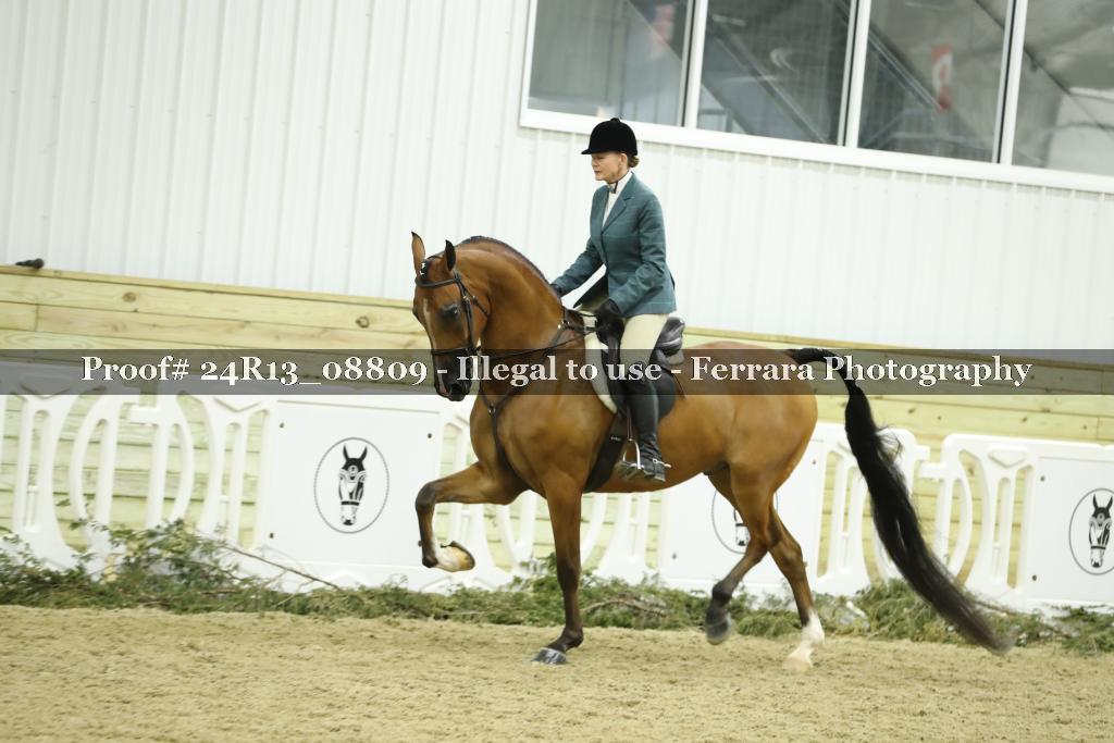 Proof Number 24R13_08809