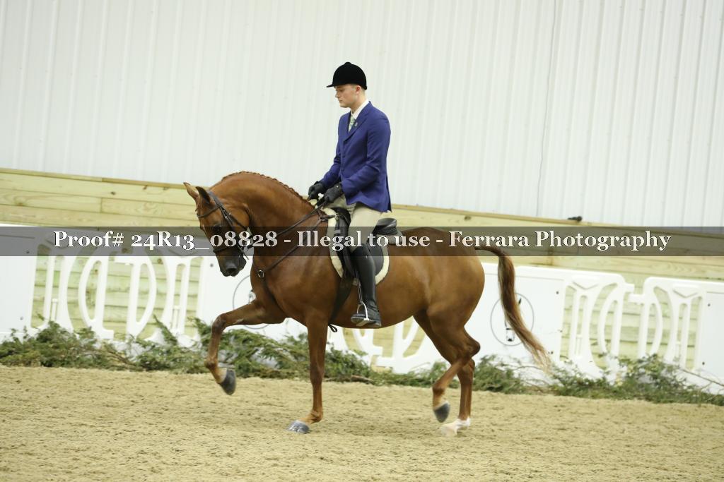 Proof Number 24R13_08828