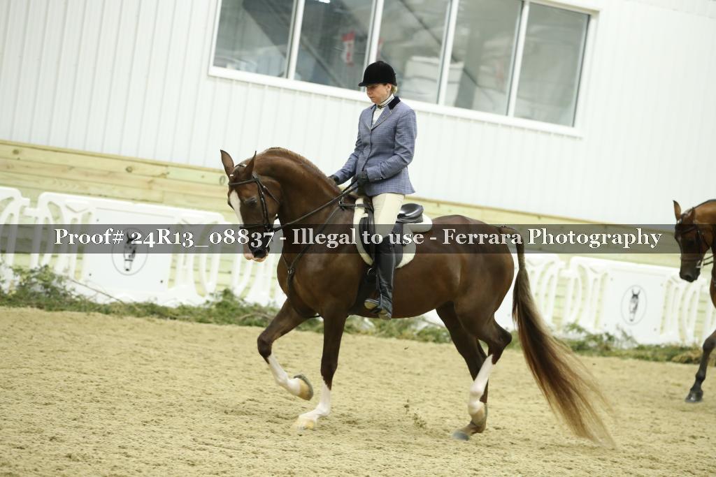 Proof Number 24R13_08837