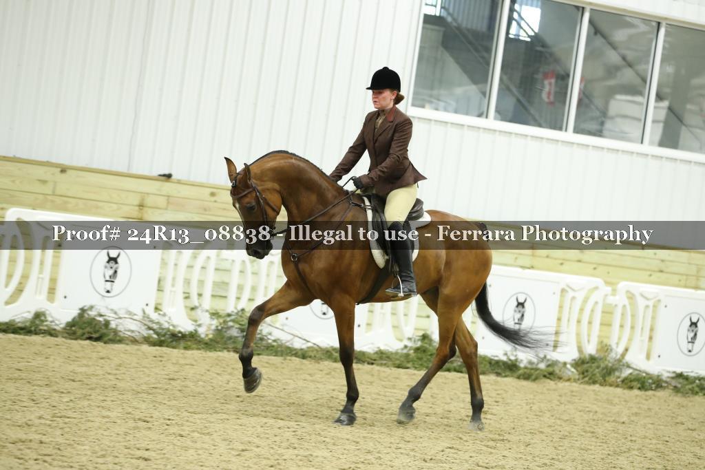 Proof Number 24R13_08838