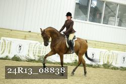 24R13_08838 thumbnail