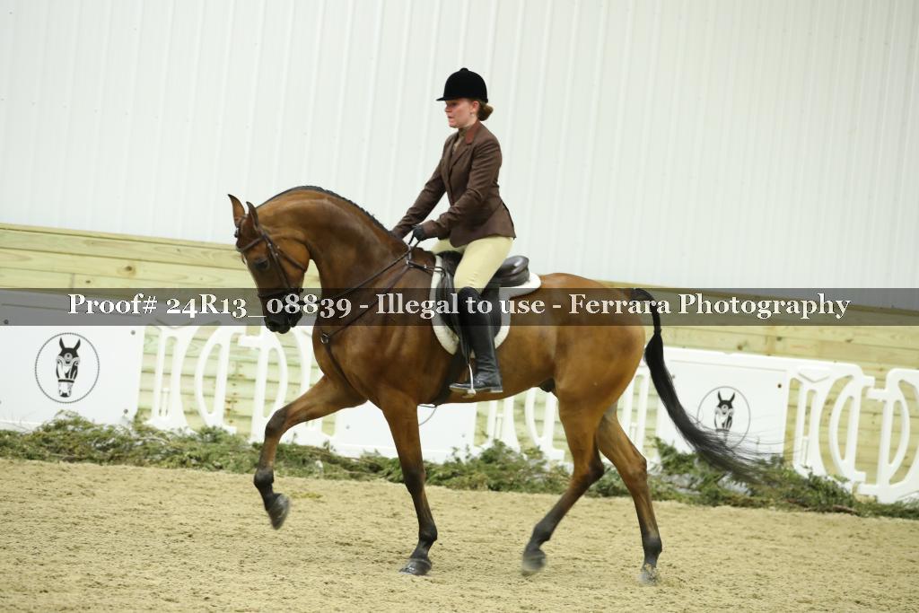 Proof Number 24R13_08839
