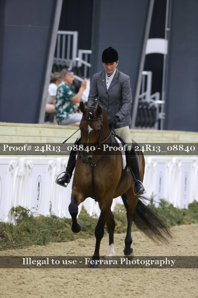 Proof Number 24R13_08840